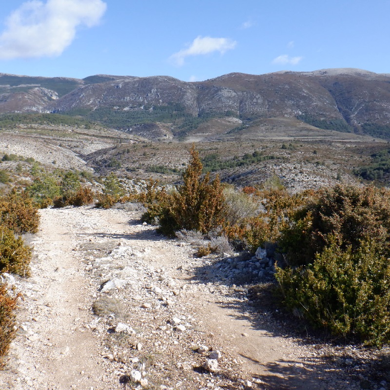 Une des portions de la randonnée sur le plateau de Vénascle, situé au-dessus des falaises de Moustiers.