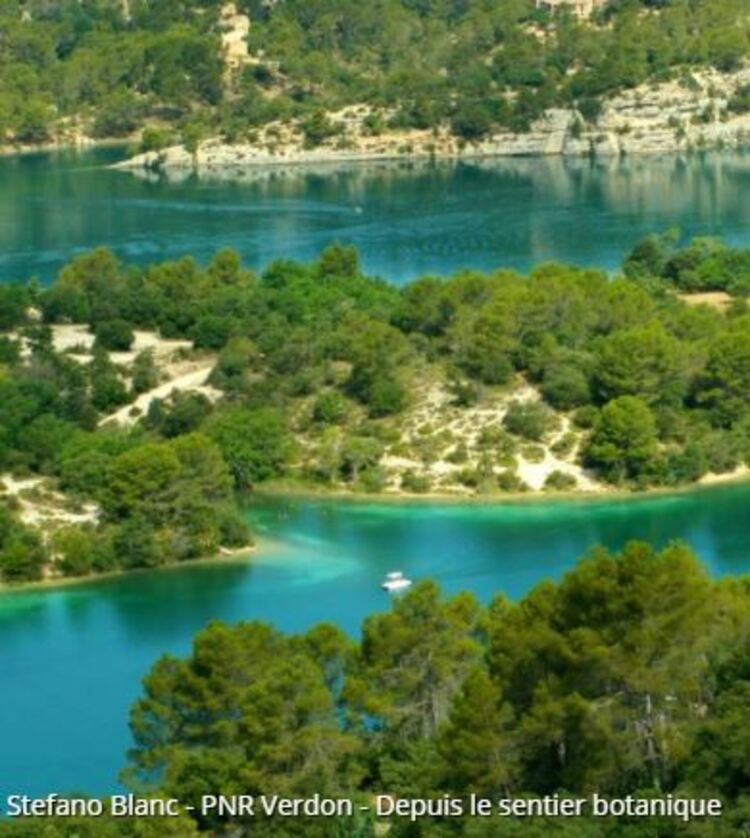 Esparron-de-Verdon - Le sentier botanique (Randos en FAMILLE, Parc du Verdon)