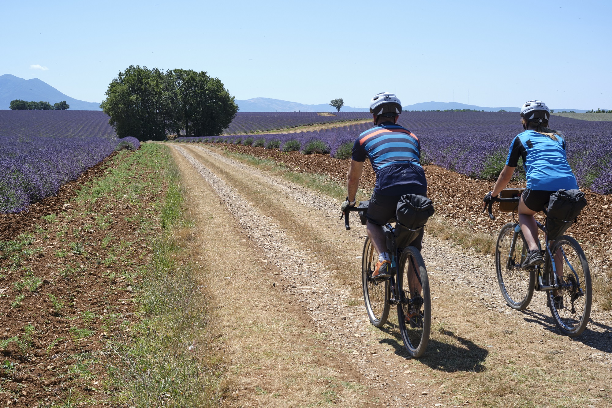 Un itinéraire gravel très coloré en période de floraison de la lavande ! (©Jean-Luc ARMAND - ©OT Provence Alpes)