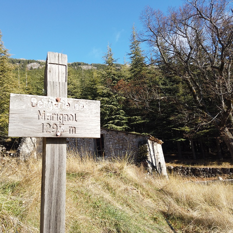 Après un peu plus de 4,5 km seulement, la fameuse petite bergerie de Marignol se dévoile déjà....