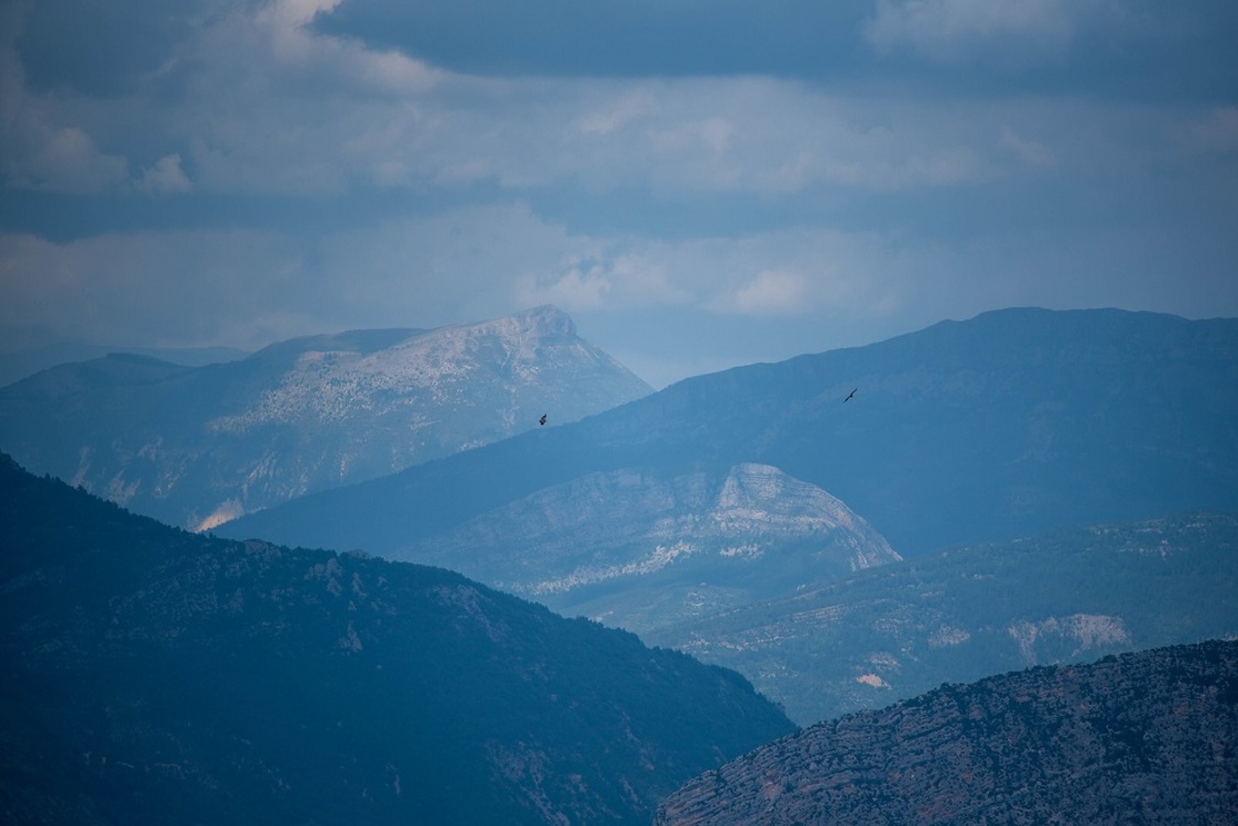 Afin de “ne pas déranger les oiseaux" (les vautours, mais aussi les espèces de rapaces protégées et rares..), certaines voies d'escalade sensibles des Gorges du Verdon ne sont pas ouvertes toute l'année... [Crédit photo : ©Alain Stoll on Visualhunt]