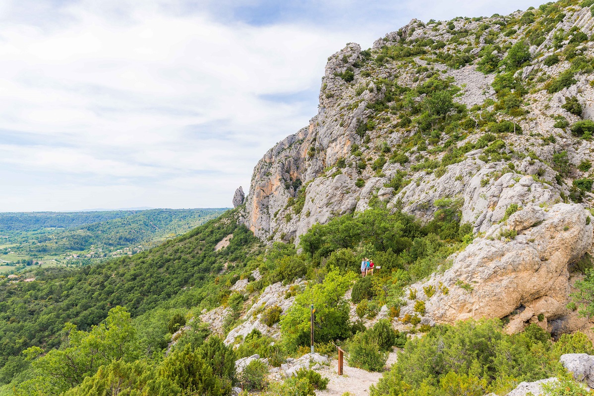 Aperçu sur une portion de l'itinéraire et les panneaux didactiques de ce sentier botanique de Tréguier