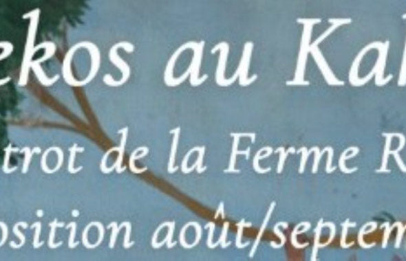 Alekos im Kako's, dem Bistro der Ferme Rose_Moustiers-Sainte-Marie