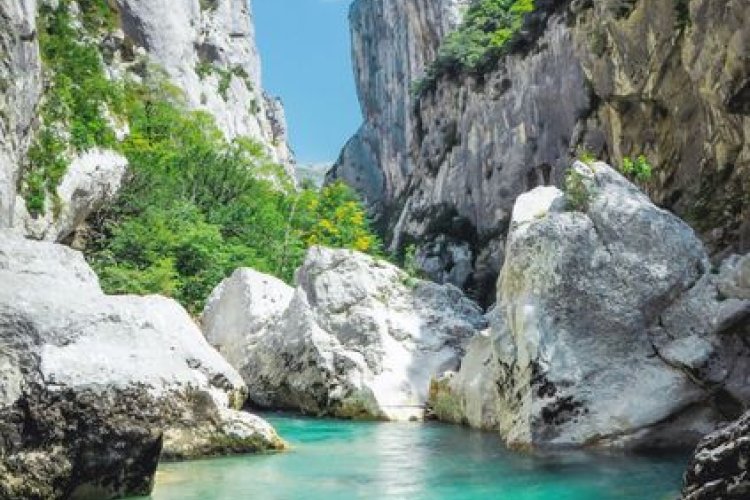 Aloha Verdon