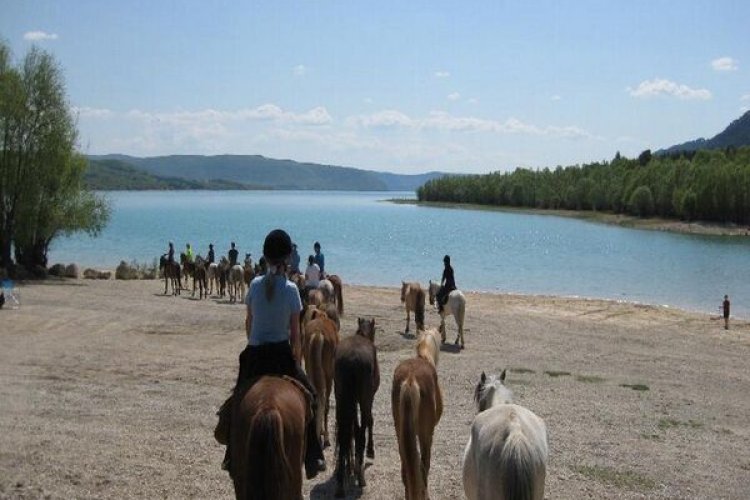 Horseback riding by the lake