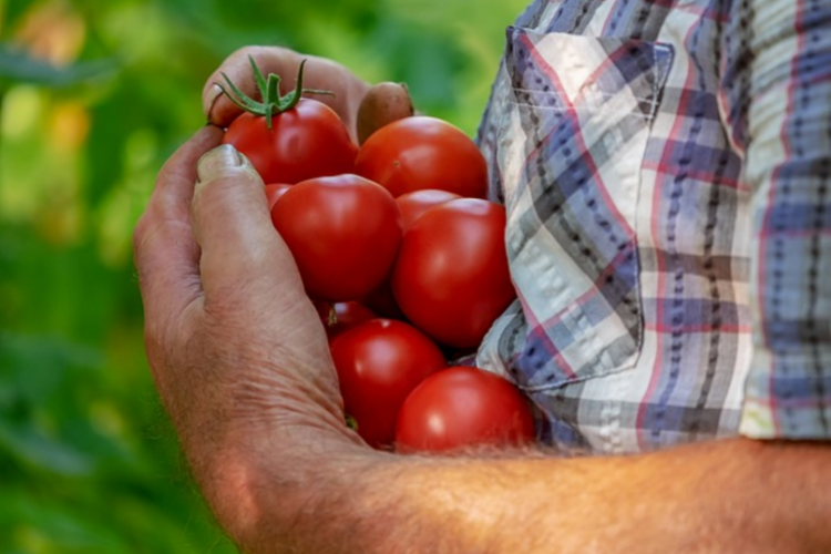 Verdon Farmers' Market