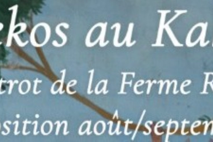 Alekos at Kako's, the bistro at Ferme Rose_Moustiers-Sainte-Marie