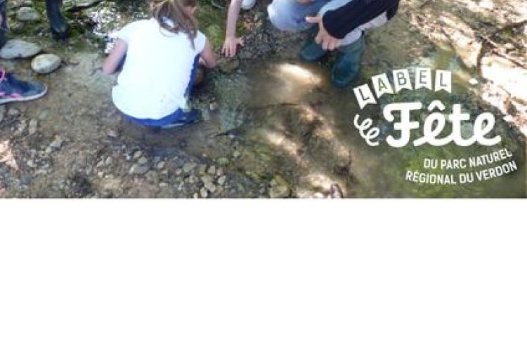 Sortie sensibilisation rivière