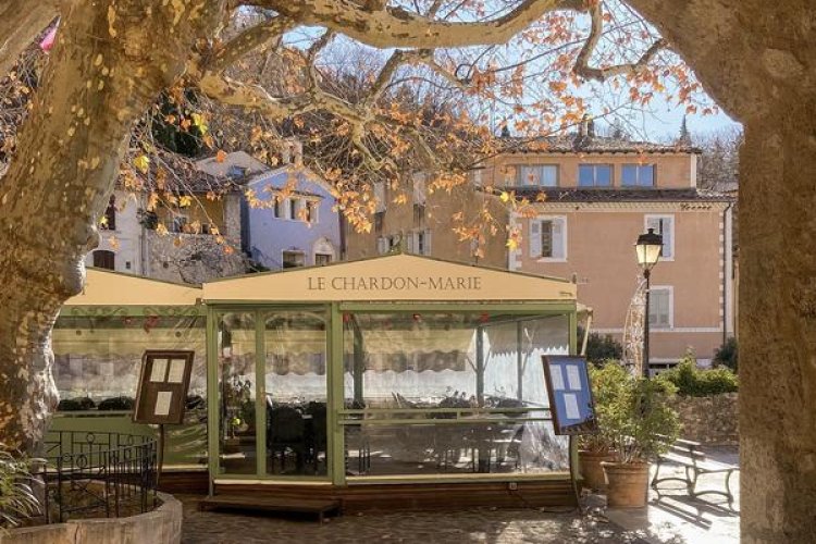 Le Chardon-Marie_Moustiers-Sainte-Marie