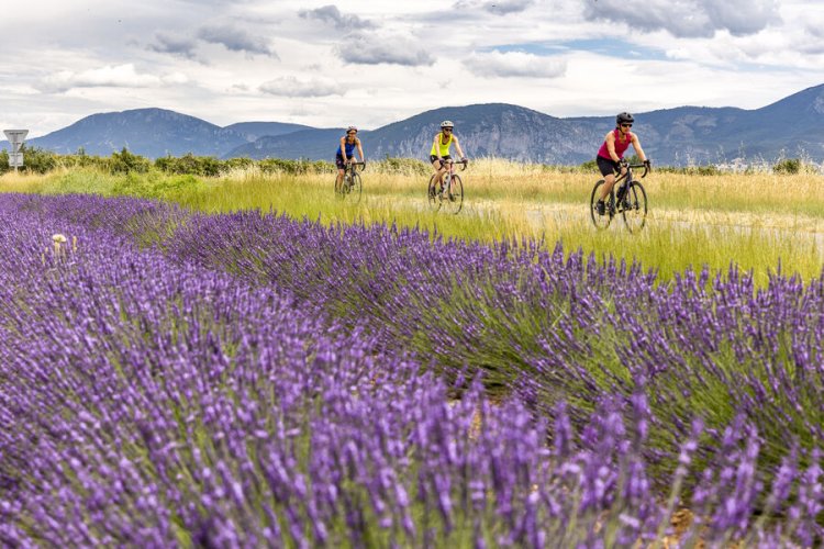 3 jours velo route Verdon