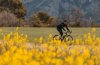 Gravel n°G5 - Tour du massif du Montdenier_Moustiers-Sainte-Marie