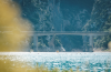 Verdon Swim Experience