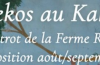 Alekos at Kako's, the bistro at Ferme Rose_Moustiers-Sainte-Marie