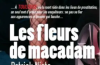 Les fleurs de macadam