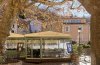 Le Chardon-Marie_Moustiers-Sainte-Marie