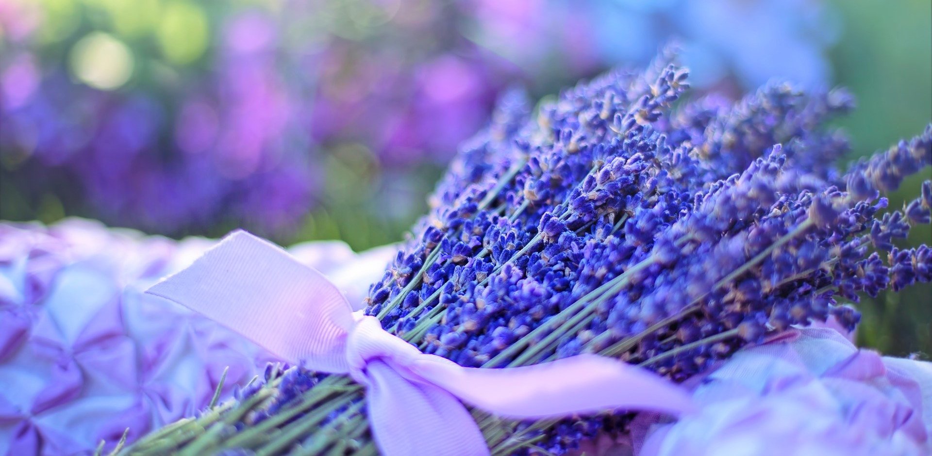 Plateau de Valensole