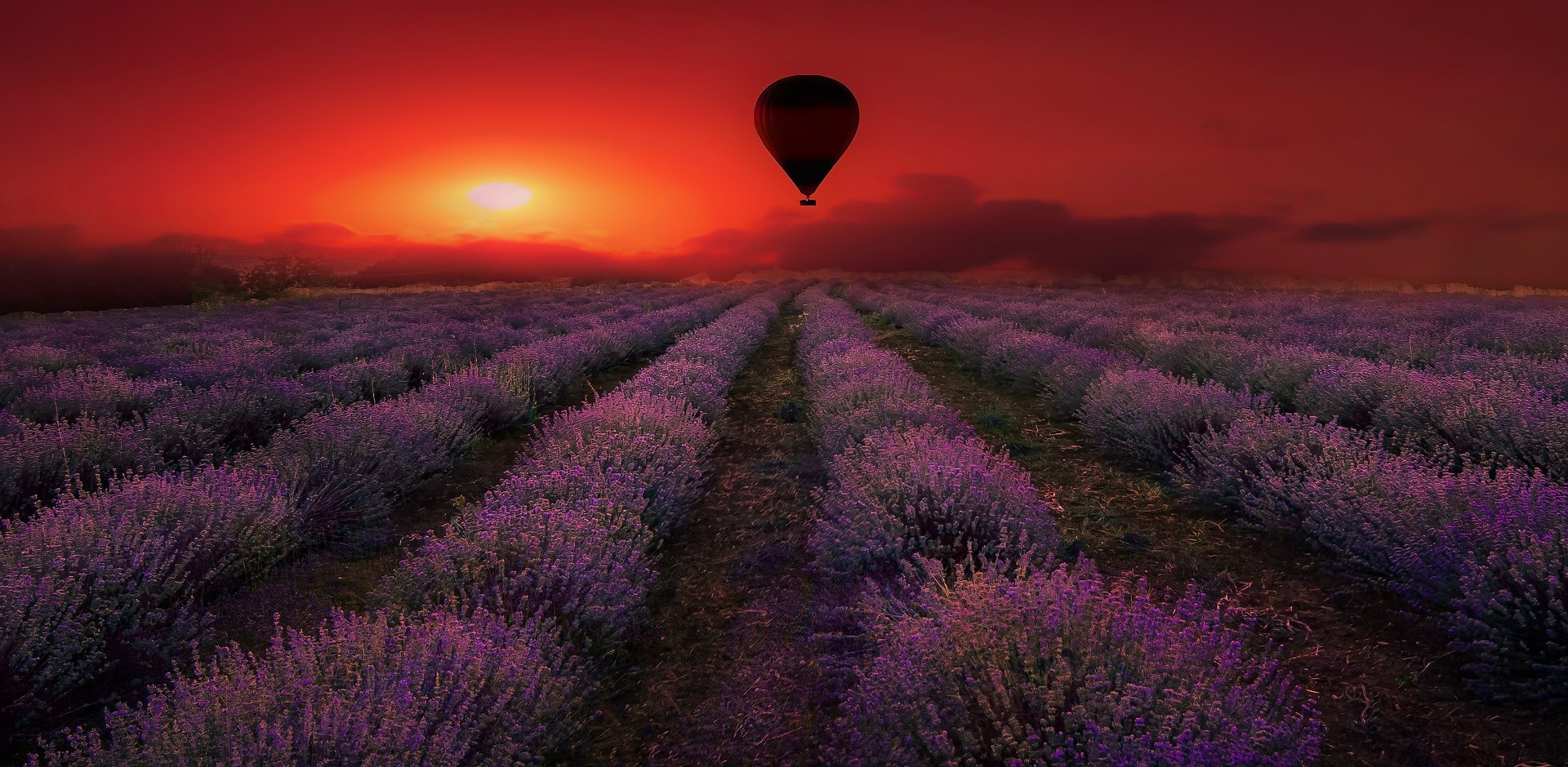 Plateau de Valensole