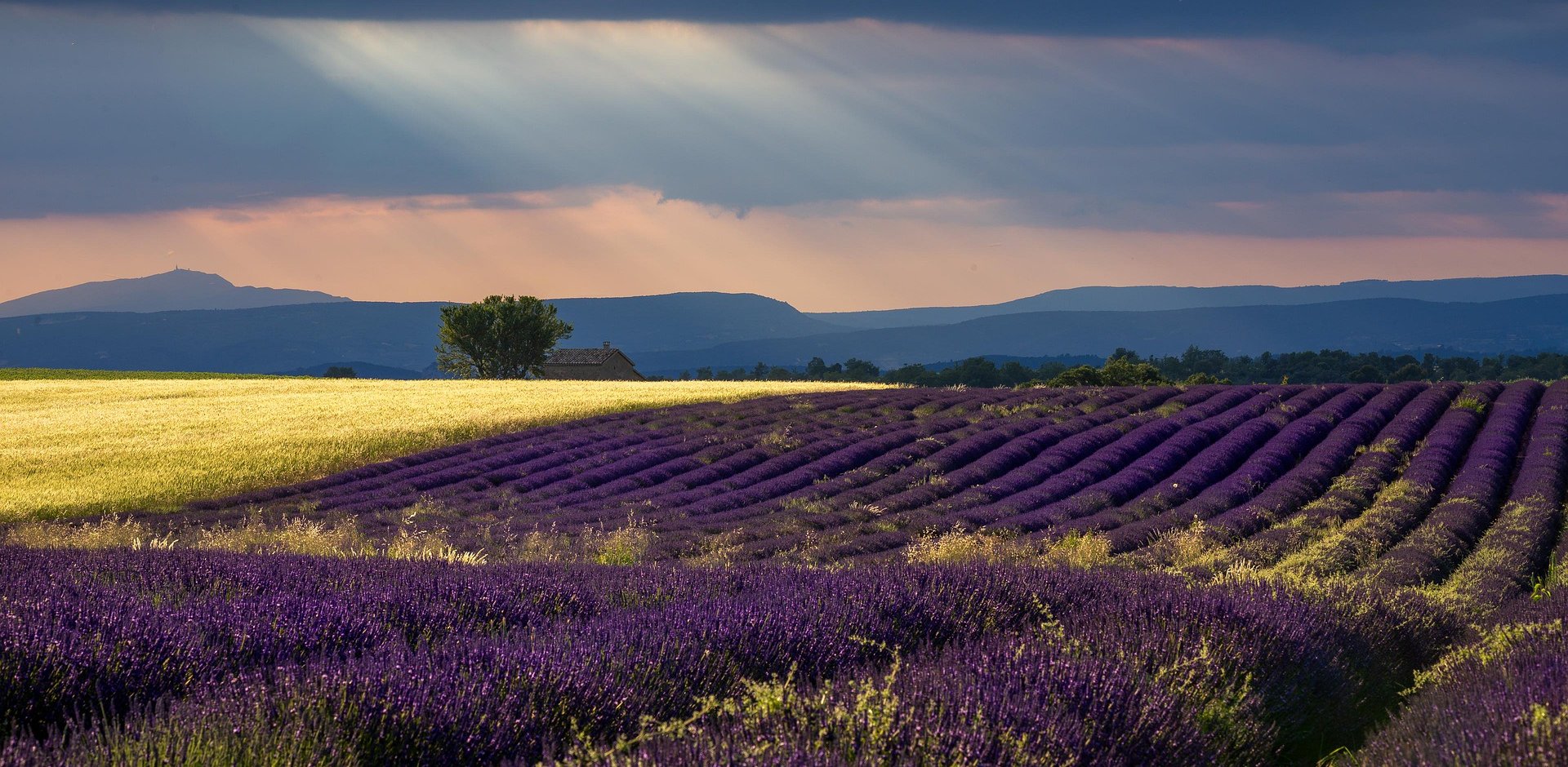 Plateau de Valensole