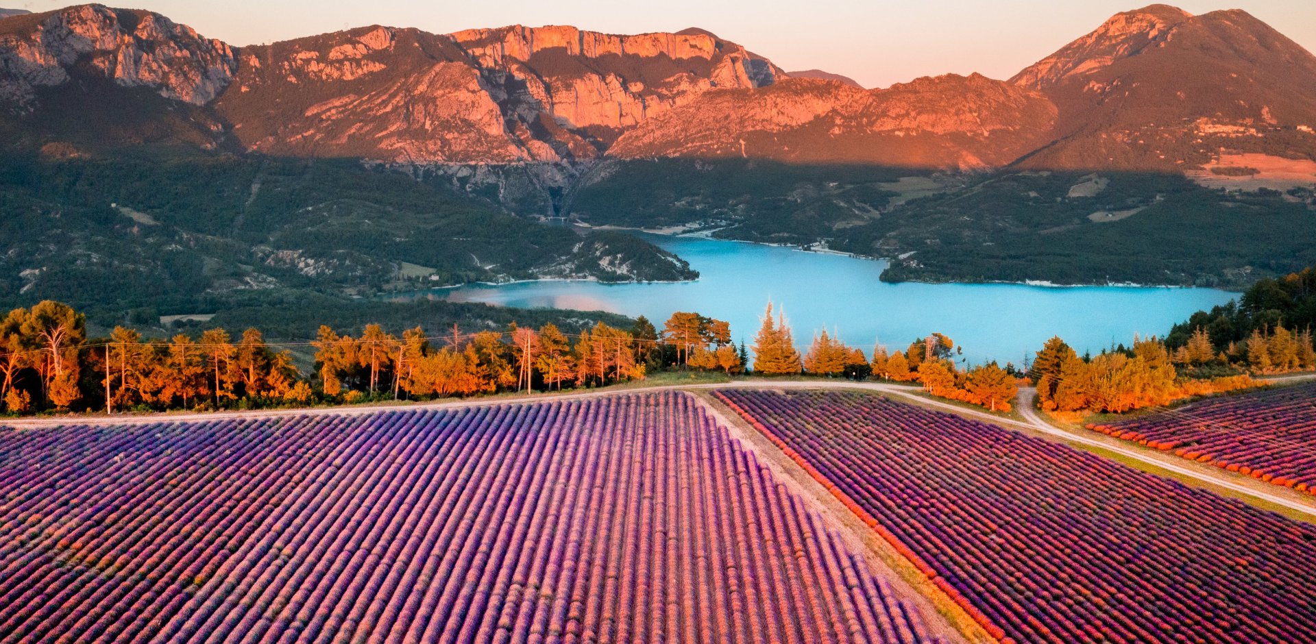 les lavandes du plateau de valensole et le lac de Sainte-Croix