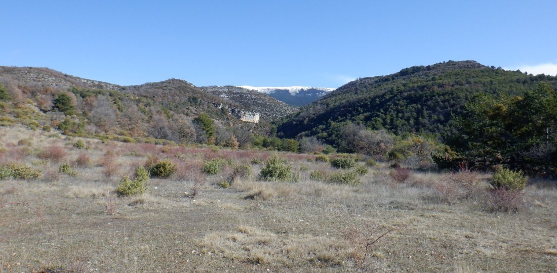 Tout près du lieu-dit "En Naups", la vue s'ouvre sur le massif du Montdenier...