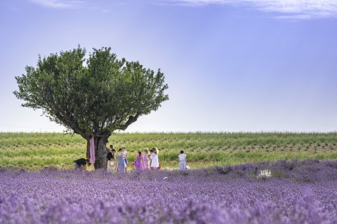 Sortir à Moustiers-Sainte-Marie