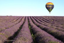 Verdon Gorges