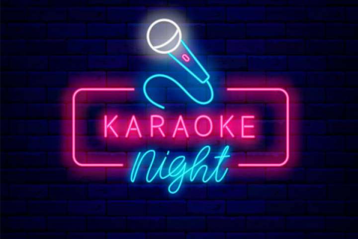 Karaoke night at the Brasserie du Petit Lac_Moustiers-Sainte-Marie Karaoke night at the Brasserie du Petit Lac_Moustiers-Sainte-Marie