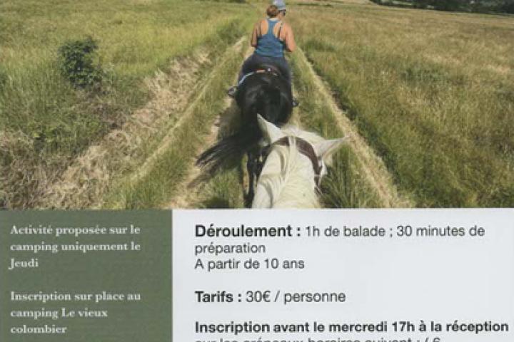 Balade à cheval au départ du Camping du Vieux Colombier_Moustiers-Sainte-Marie