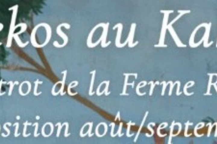 Alekos at Kako's, the bistro at Ferme Rose_Moustiers-Sainte-Marie