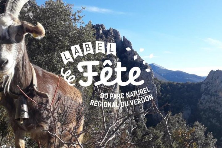 2-Balade avec les chèvres_Moustiers-Sainte-Marie
