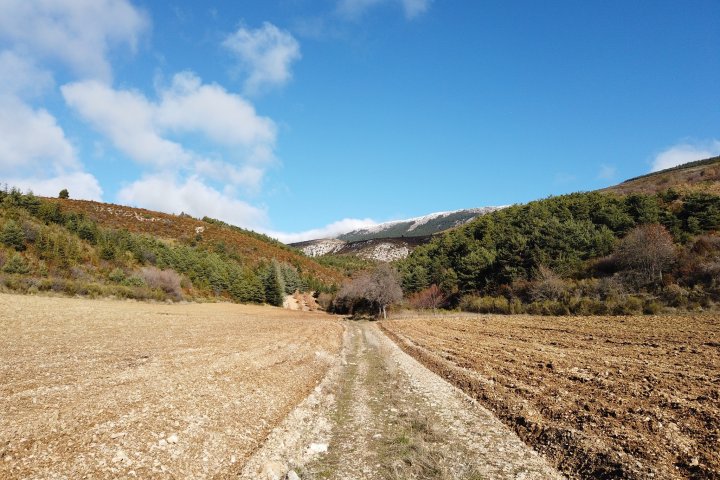 À la fin de l'itinéraire, le passage par le lieu-dit de Vincel et ses champs cultivés proposera notamment ("dans le rétro") de très belle ouvertures sur la crête du Montdenier !