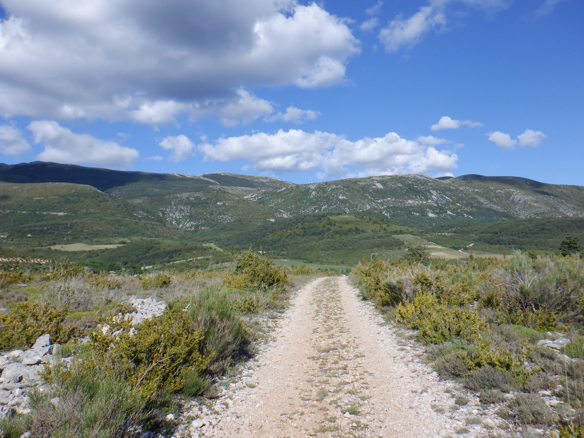 Le plateau de Vénascle, voie d'accès au massif du Montdenier.