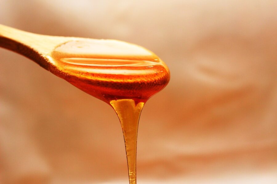 Discovering Provencal products
