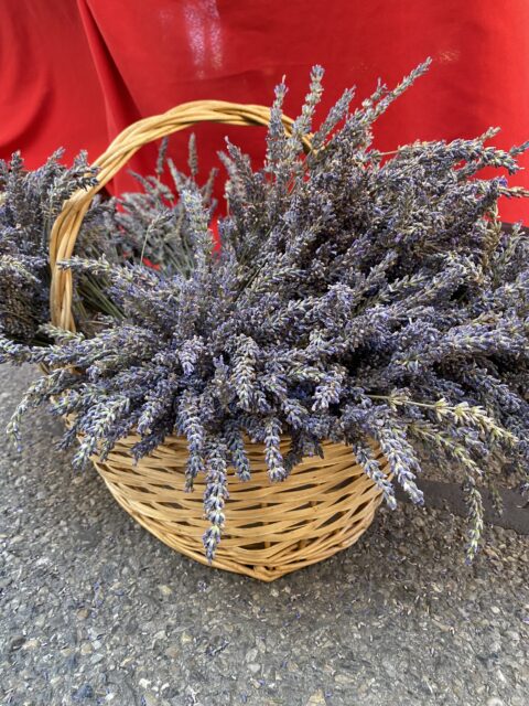 Bouquet of lavender