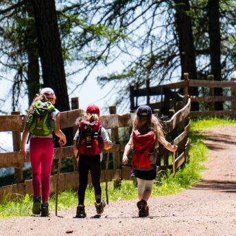 Children hiking