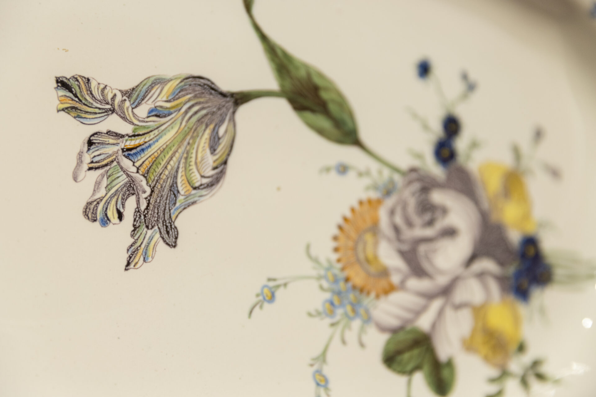 The earthenware decorations of Moustiers