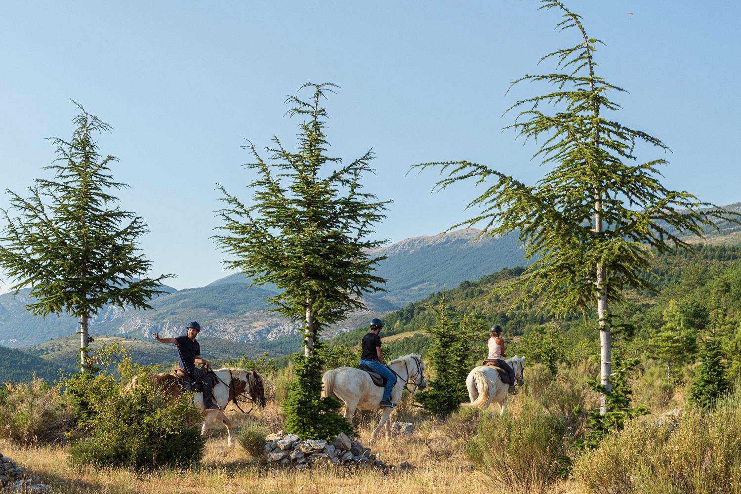 Plateau Vénascle équitation