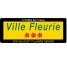 Ville Fleurie