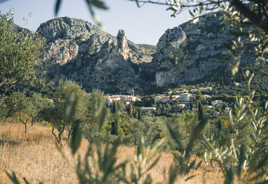 Moustiers à travers des branches d'oliviers